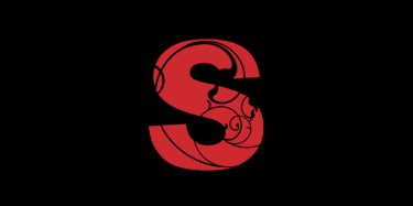 Logo Design for Photography Website